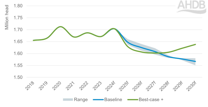 Prime cattle slaughter data 2018-2030.